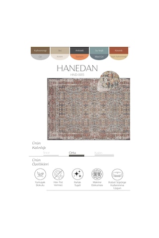 Cool Halı Hanedan Gri Halı Klasik Desen Modern Halısı Etnik Desenli Vintage Halı Dokuma Salon Halısı