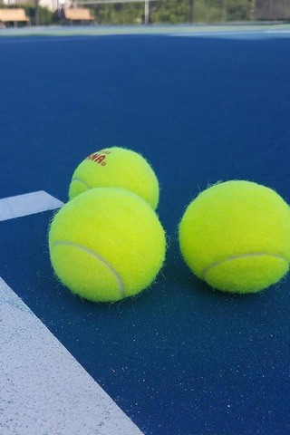 12 Adet Tenis Topu Başlangıç Seviye Eğitim Antrenman Amatör Maç Topu Tennis Ball