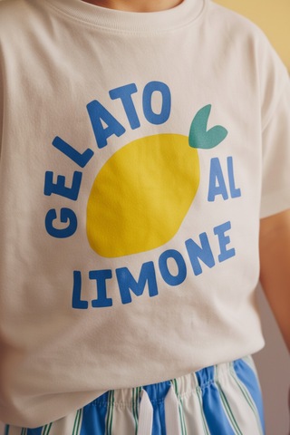 Erkek Çocuk Pamuklu Beyaz Limon Baskılı T-shirtli Çizgili Şort Takım Çok Renkli