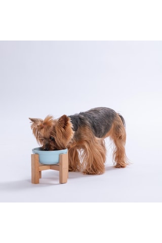 Mavi Ahşap Standlı Seramik Mama/ Su Kabı Kedi Köpek Mama Su Kabı