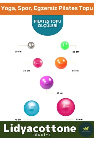 Mini Gymball 20cm Turuncu Pilates Topu Denge Egzersiz Şişirme Pompa Hediyeli