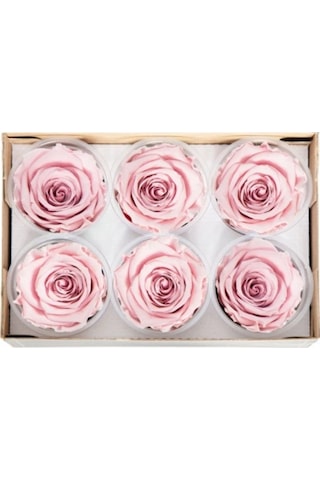 Rose Amor PİNK - 04 PEMBE şoklanmış solmaz gül XL 1 KUTU (6 ADET