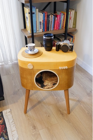 Dekoratif Fotoğraf Makinesi Ahşap Sehpa Köşe Sehpa