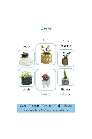 Kaktüs Saksısı Dekoratif Saksı Model 3 - Beyaz