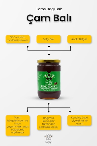Toros Dağı Çam Balı 860 G