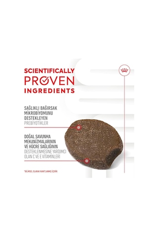 Royal Canin Immunity&digestion Chews Bağışıklık Ve Sindirim Sistemini Destekleyen Tamamlayıcı Ödül Maması 100 G