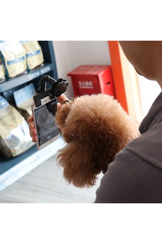 Ayarlanabilir Evcil Hayvan Selfie Çubuğu Telefon Tutucu Evcil Hayvanlar İçin Köpek Kedi İçin Telefon İçin Siyah