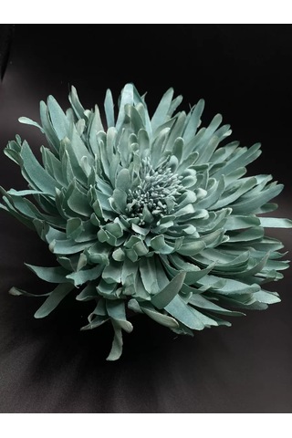 Amely Rid Kumaş Büyük Broş Toka "kore Pembesi Çiçeği" 196354003 Naneli