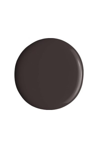 Alix Avien Kahverengi Oje 53 Yüksek Pigmentli Uzun Süreli Kalıcılık Hızlı Kuruma Nail Lacquer 53