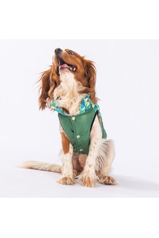 Pawstar Yeşil Diametro Puf Yelek Köpek Yeleği Köpek Yağmurluk