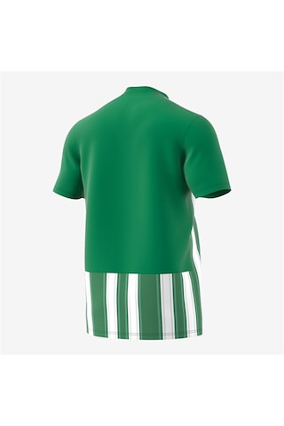 Adidas Striped 21 JSY Erkek Futbol Forması Yeşil / Beyaz H35644 Yeşil