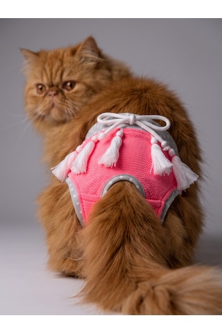 Neo Pink Dişi Kedi Regl Külotu Don Kedi İç Çamaşırı Ayarlanabilir Bağcıklı Küçük Irklar İçin