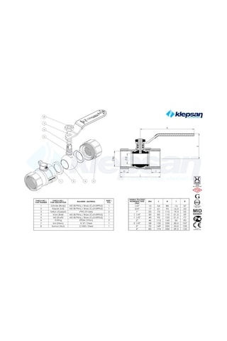 Klepsan Küresel Vana 2 Inç Dn50