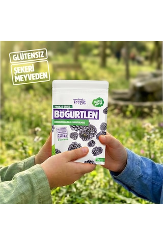 Dondurularak Kurutulmuş Böğürtlen 18 G Freeze Dried Meyve Cipsi Çıtır Meyve Kurusu 12 Adet