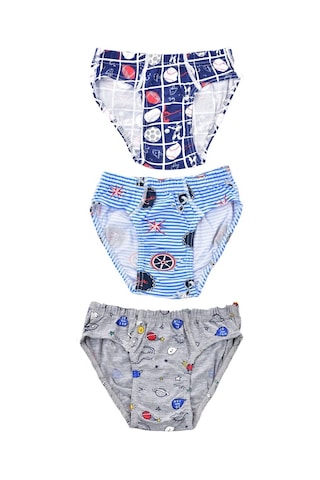 Pemilo Erkek Çocuk 255 Desenli 3'Lü Slip Karışık Renkli (485926318)