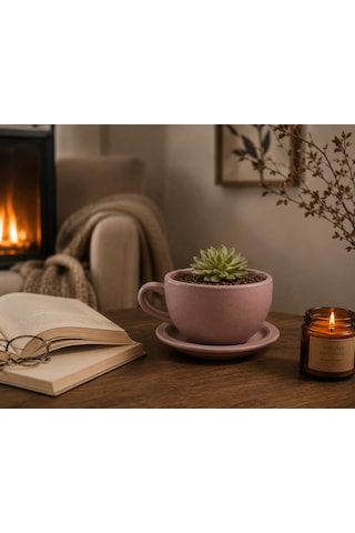 Momiko Beton Fincan Saksı - Yeni Mocca, El Yapımı Sukulent Saksısı Yeni Mocha