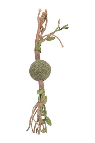 M-pets Charmy Brancy Yeşil Catnipli Kedi Oyuncağı 18 Cm 244-50158.01