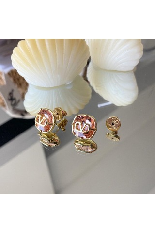 Pembe Taşlı Gold Çelik Küpe Çok Renkli