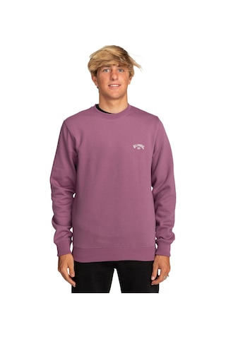Billabong Arch Erkek Sweatshirt Mor Çok Renkli