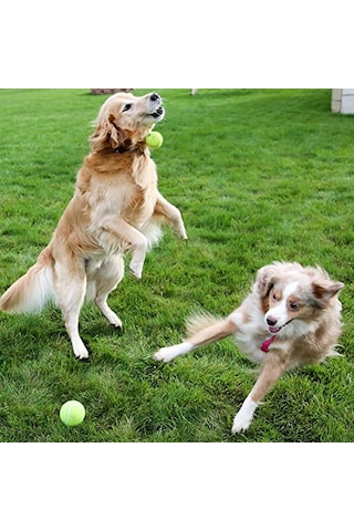 Köpek Oyuncağı Tenis Topu Büyük Boy Dayanıklı Kauçuk İç Yapı, Diş Dostu Yumuşak Keçe Kaplama, Suya Day