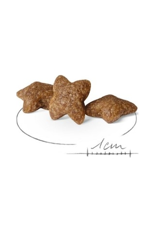 Mini Adult Köpek Maması 2 Kg + 2 Adet Yaş Mama Hediye
