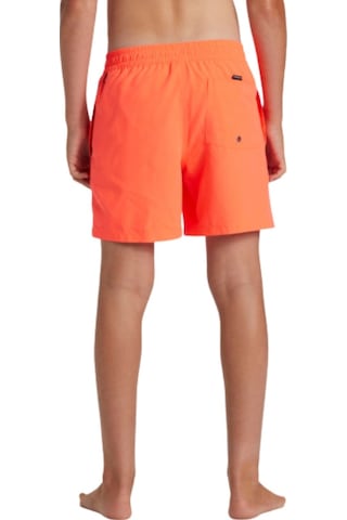 Quıksılver Quiksilver Everyday Solid Volley Yth 14 Erkek Çocuk Volley Short Mkz0 Çok Renkli