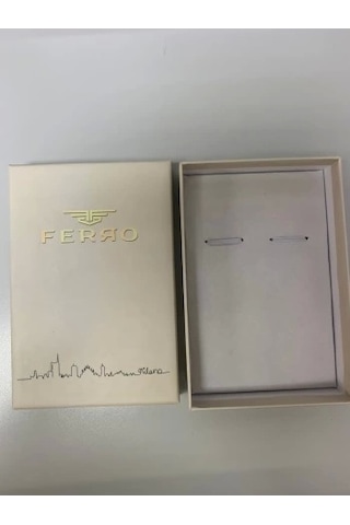 Ferro Lacivert Deri Kordon Kadın Kol Saati F21195bwt-t Rose Gold