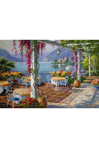 Anatolian 500 Parça Mor Salkımlı Teras Puzzle