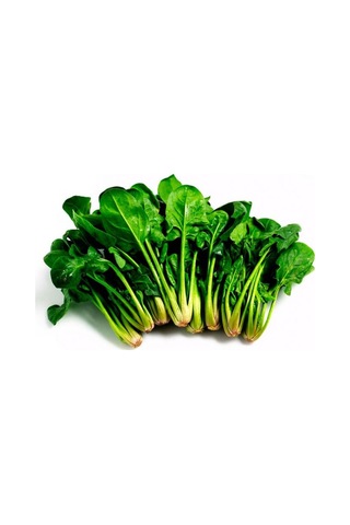 Ispanak Tohumu 25 Gr