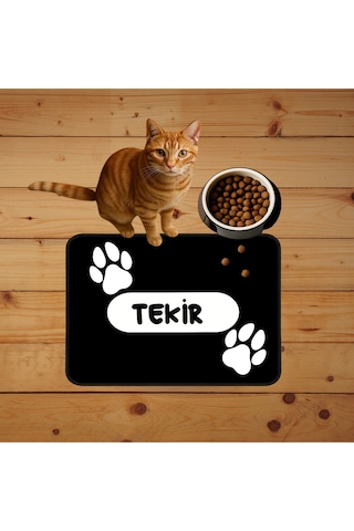 Evcil Hayvan İsimli Kedi Köpek Mama Paspası Ve Beslenme Altlığı Mama Önü Tuvalet Önü Paspas 40x60cm Çok Renkli