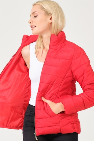 Dewberry Bayan Mont Z6746