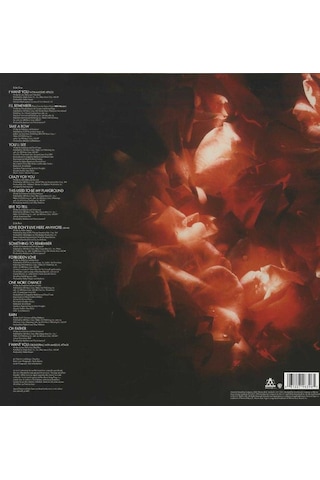Madonna - Something To Remember / Plak