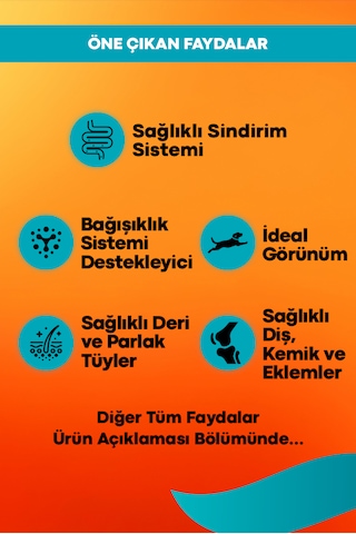 Kuzu Ve Pirinçli Yetişkin Köpek Maması Maintenance 15kg