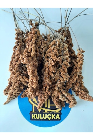 Dal Darı Kuş Yemi 1 Kg
