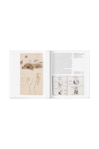 Taschen Hilma Af Klint Basic Art 9783836599030