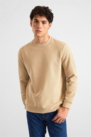Süvari Bej Regular Melanjlı Baskısız Waffle Bisiklet Yaka Cepsiz Düz Sweatshirt Sw2013700027-bj3