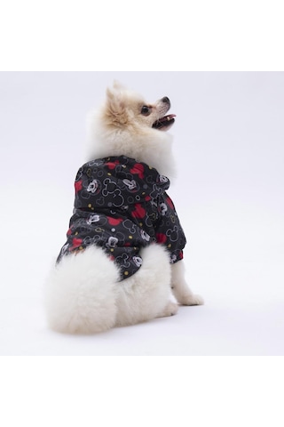 Pettrend Mickey Mouse Mont Köpek Kıyafeti Köpek Yağmurluğu