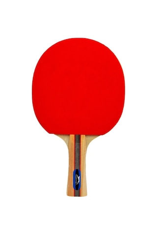 Slazenger Champion Ittf Onaylı Masa Tenis Raketi 7695657787332