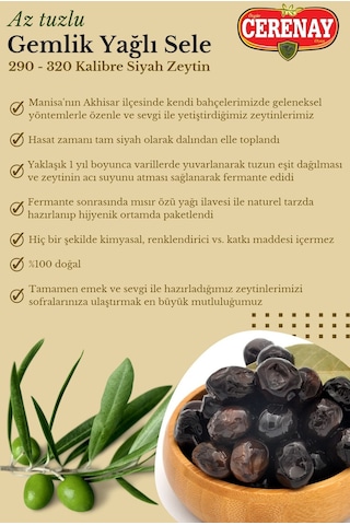 Az Tuzlu Gemlik Yağlı Sele Sofralık Siyah Zeytin 291-320 Kalibre 10 KG
