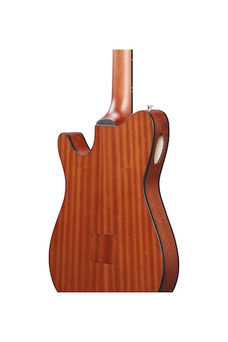 Ibanez Frh10n-ıbf Thinline Elektro Klasik Gitar