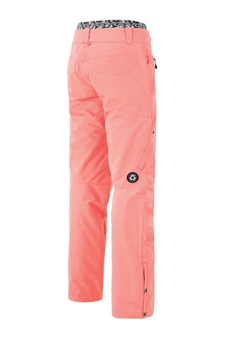 Volcom Picture Organic Treva Kadın Snowboard Pantolonu (470775532)