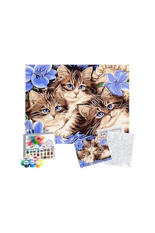 Sayılarla Boyama Seti 40 x 50 CM Tuval Şasesine Gerili Boncuk Kediler
