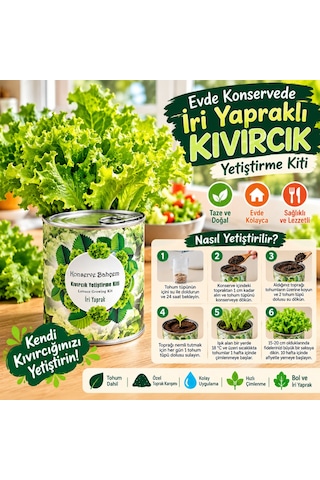 Konserve Bahçem Evde Konservede İri Yapraklı Kıvırcık Yetiştirme Kiti Aklby-bsva58 Diğer
