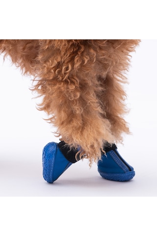 Pawstar Mavi Köpek Ayakkabısı