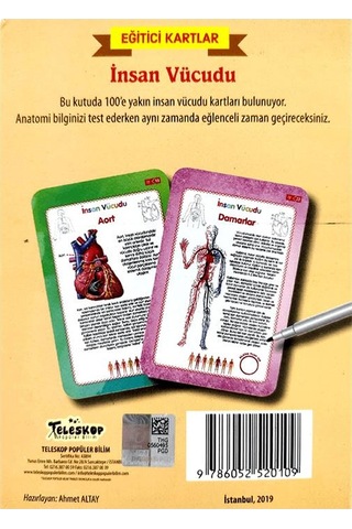 İnsan Vücudu Eğitici Kartlar - Etkinlik Kartları