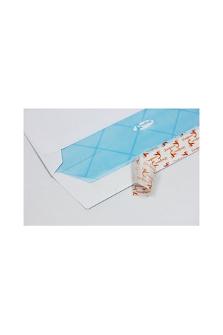 100 Adet Diplomat Zarf Düz 90 Gr 10,5 X 24 Cm