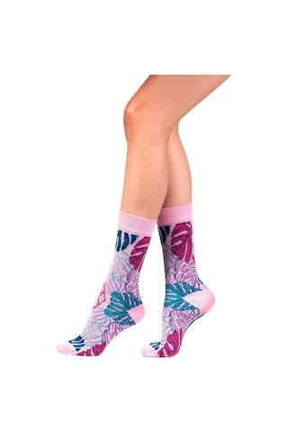 Ozzy Socks Kadın Çok Renkli Desenli 6' Lı Organik Pamuklu Dikişsiz Çorap Beyaz
