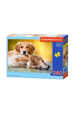 Castorland 260 Parça Peaceship Forever Puzzle