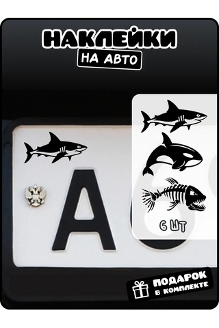 Stadi Devlet Plakası Etiketi Köpekbalığı 226337828