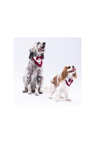 Pawstar Bordo Smokin Kedi Köpek Fuları Pet Bandanası